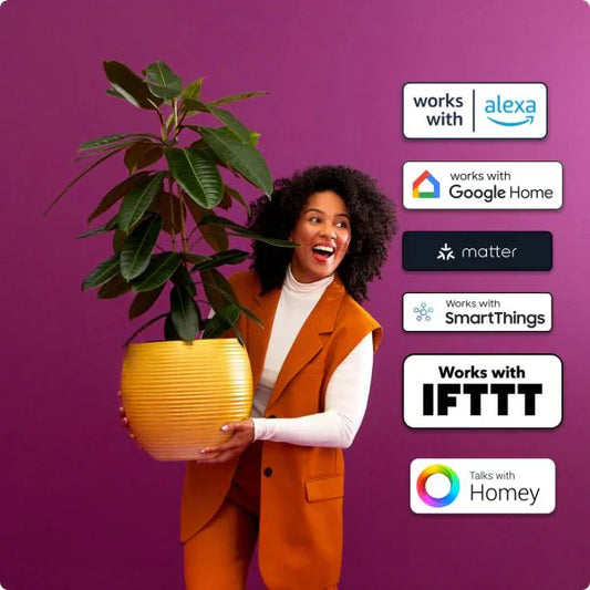 Simply-LEDs Expands with WiZ LED Smart Lights
