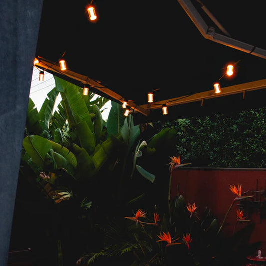 Lifx SuperColor Outdoor String Lights outside