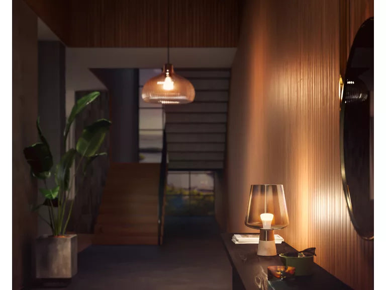 Modern interior with a table lamp, plant, and decorative items in a dimly lit room.