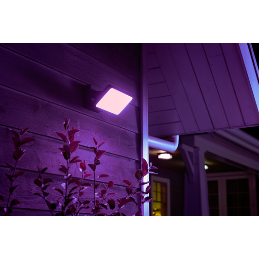Philips hue discover floodlight purple
