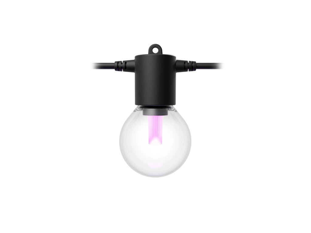 Clear light bulb with black base on a white background
