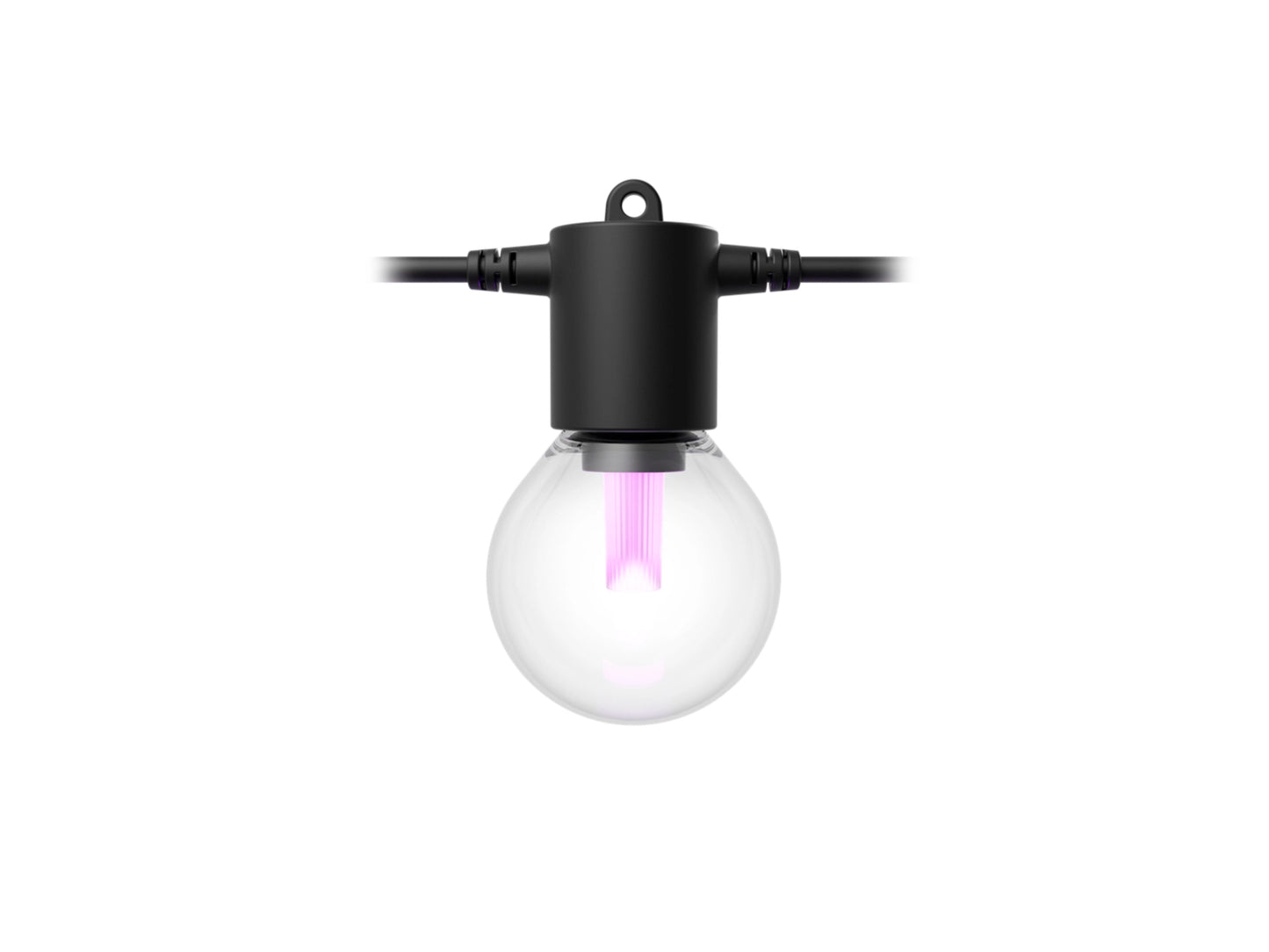 Clear light bulb with black base on a white background