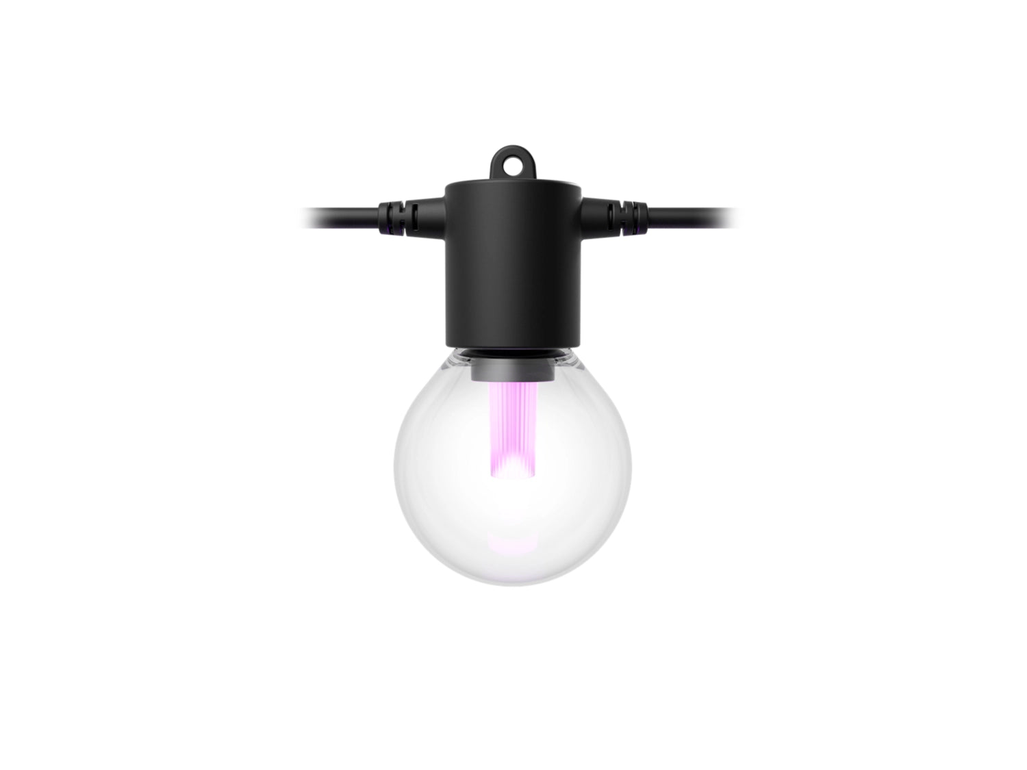 Clear light bulb with black base on a white background