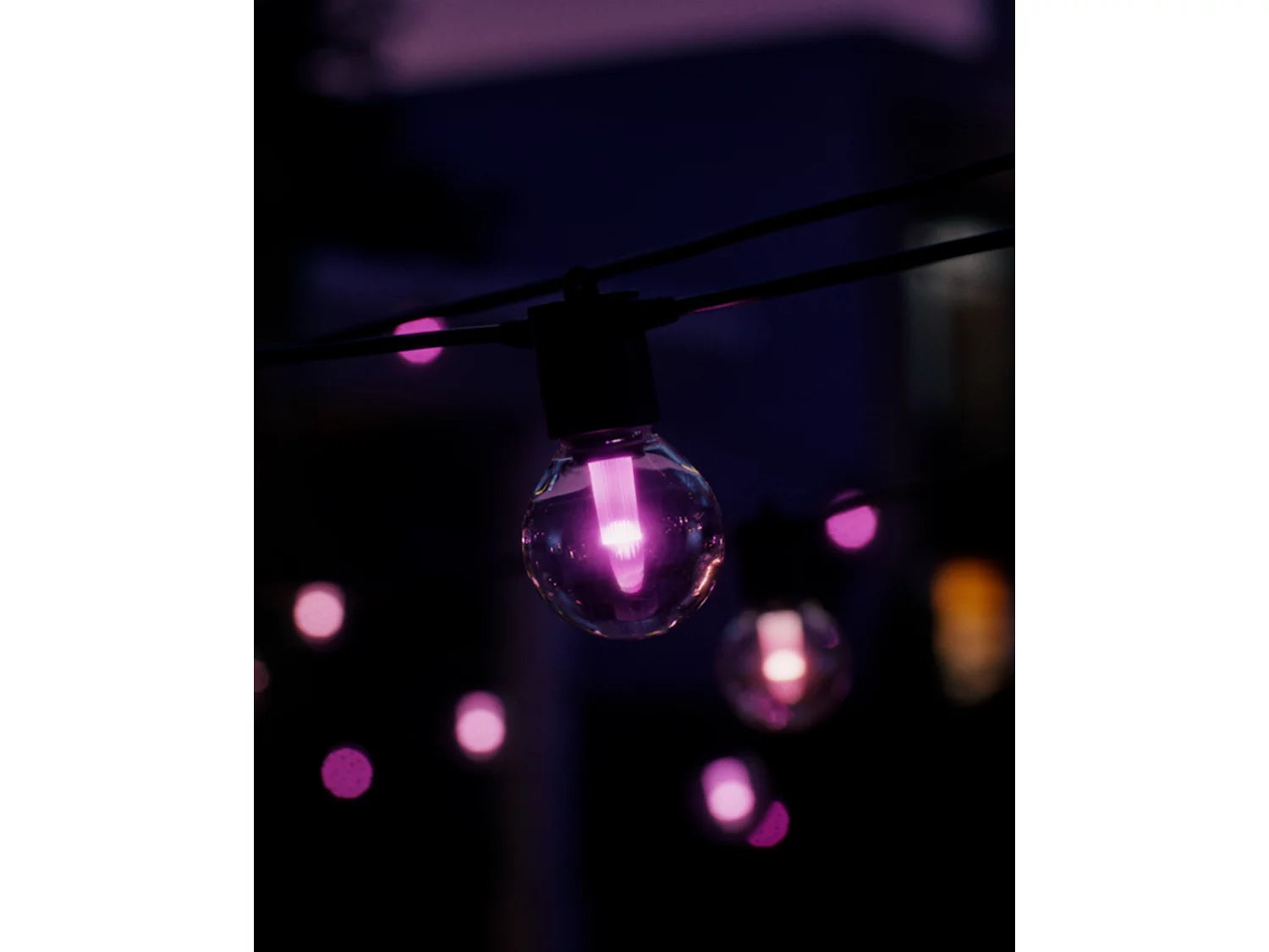 Hue outdoor String lights with purple bulbs in a dark setting
