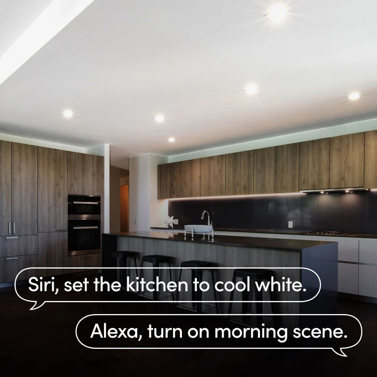 Lifx Flush Downlight voice command