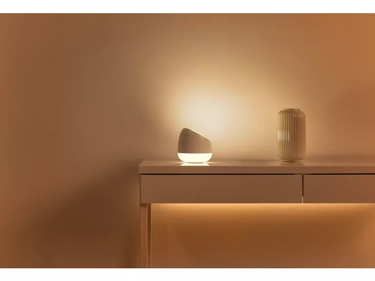 Wiz squire Decorative lamp and vase on a wooden surface with a warm, soft focus background