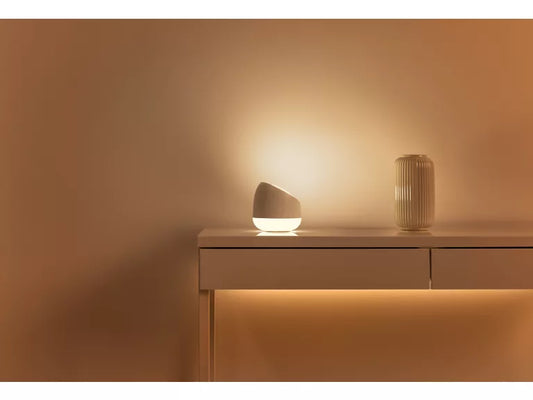 Wiz squire Decorative lamp and vase on a wooden surface with a warm, soft focus background