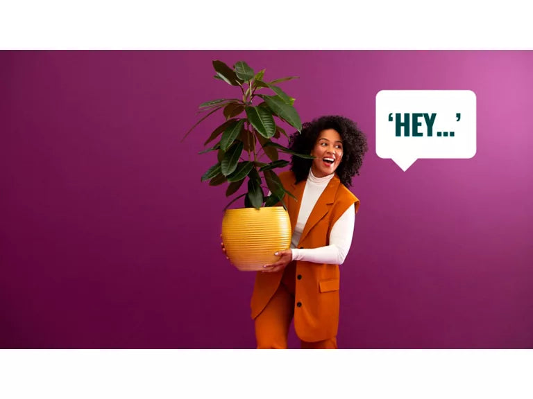 Person holding a potted plant with a speech bubble saying 'HEY...' on a purple background