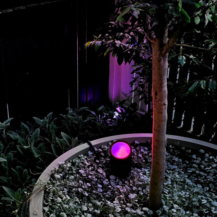 Glowing pink LIFX Outdoor Spot Starter Kit in a garden setting at night