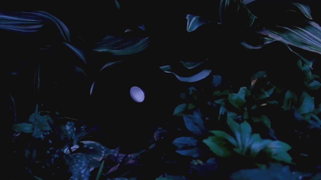 LIFX Outdoor Spot video