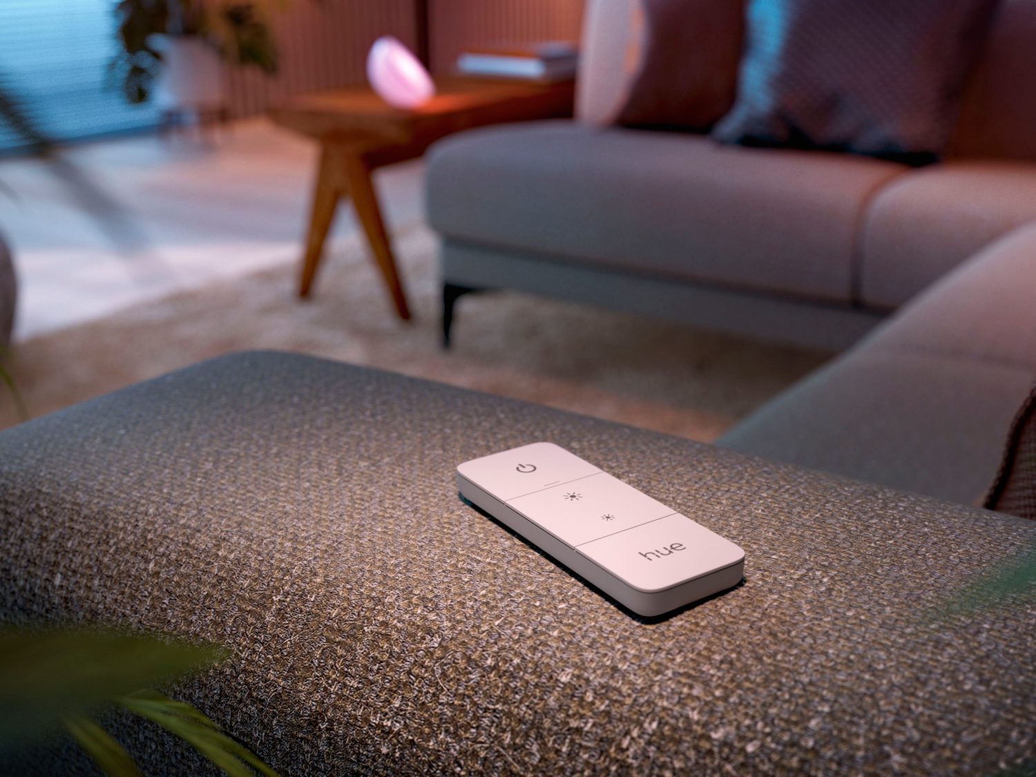Philips Hue Dimmer Switch -  on the couch