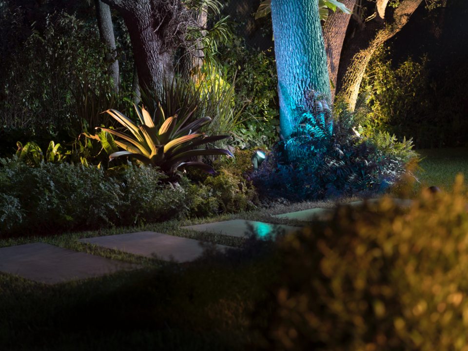 Philips Hue Lily XL Outdoor Spotlight in garden