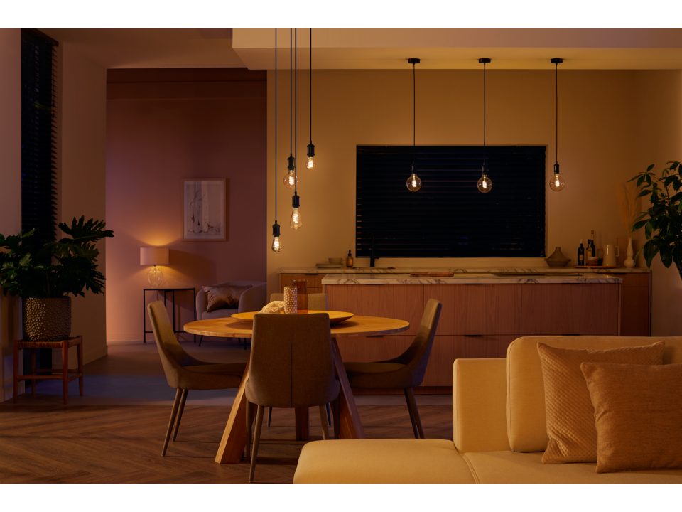 Philips Hue White Ambience G125 E27 Filament Globe in lounge