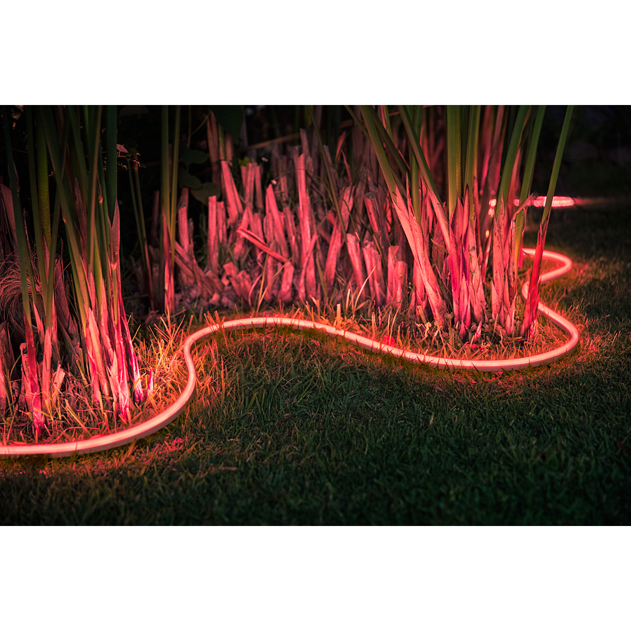 Philips Hue Outdoor Light strip outdoor - red outdoor